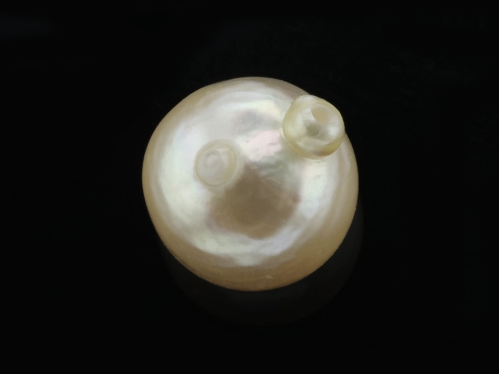 Akoya Pearl 6.50-7.00mm Baroque Cream