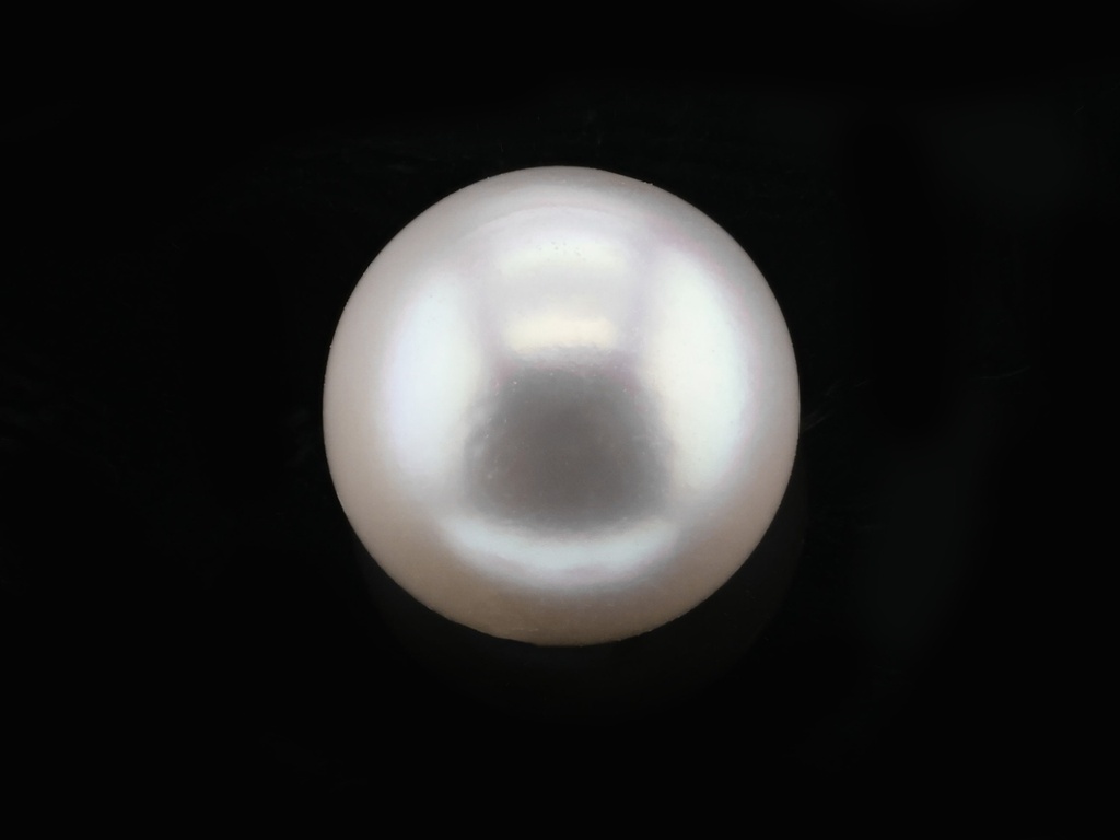 Akoya Pearl 8.00mm Round White