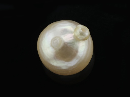[JXJ30073] Akoya Pearl 6.50-7.00mm Baroque Cream