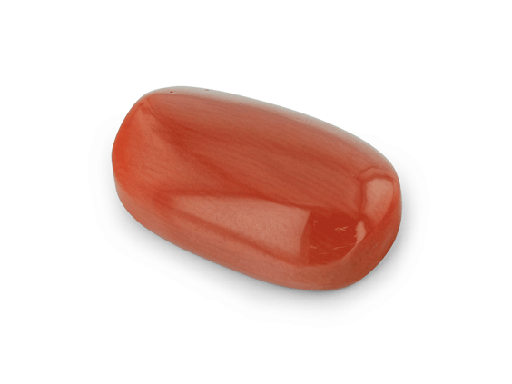 [CORAX3044] Red Coral 19.3x11.9mm Oval Cabochon  