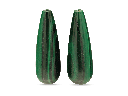 BRIJ3119_3.png