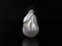 Pearl F/W Baroque White 26x17mm FreeForm H/D