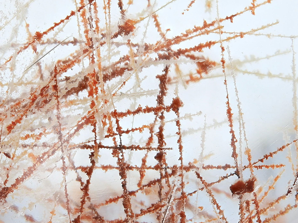 Quartz with Red Rutile 24x21.5mm Oval Cabochon