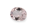 MGV-1109_1.png