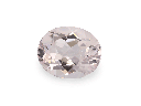 MGV-1109_2.png