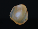 NJ20058_1.png