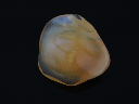 NJ20058_2.png