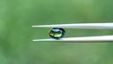 Tanzanian Sapphire 9.35x7.48mm Oval Teal