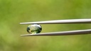 Parti Sapphire 10.27x7.38mm Oval Yellow Green