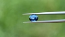 Sapphire 9.1x7.2mm Oval Teal