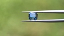 Teal Sapphire 8.06x7.52mm Emerald Cut