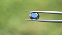 Parti Sapphire 11.2x9.1mm Oval