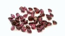 Rhodolite Garnet 2.50mm Round Diamond Cut
