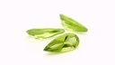 Peridot 12x5mm Pear Shape