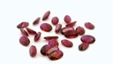 Synthetic Ruby 5x3mm Oval Dark Red