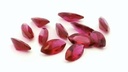Synthetic Ruby 8x4mm Marquise Bright Red