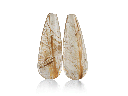 BRIJ3043_1.png