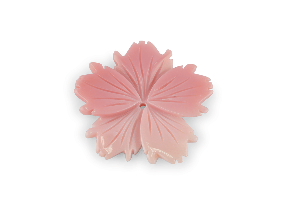 CARVJ3004_1.png