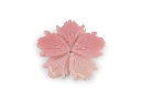 CARVJ3004_1.png