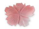 CARVJ3005_1.png