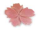 CARVJ3006_1.png