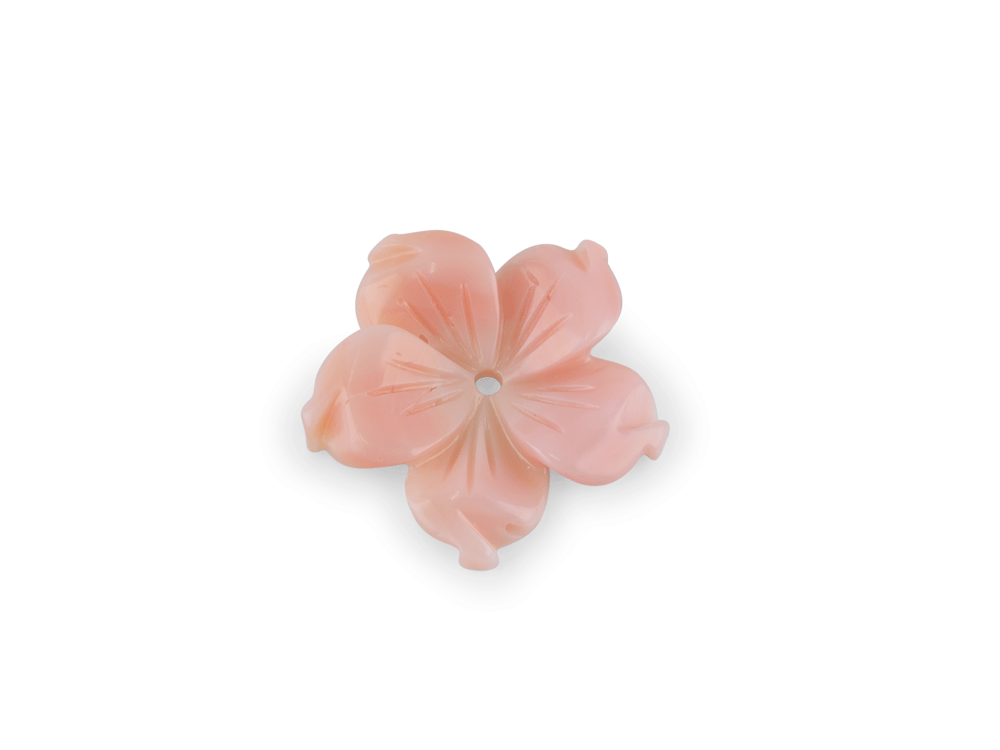 CARVJ3007_1.png