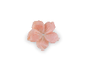 CARVJ3007_1.png