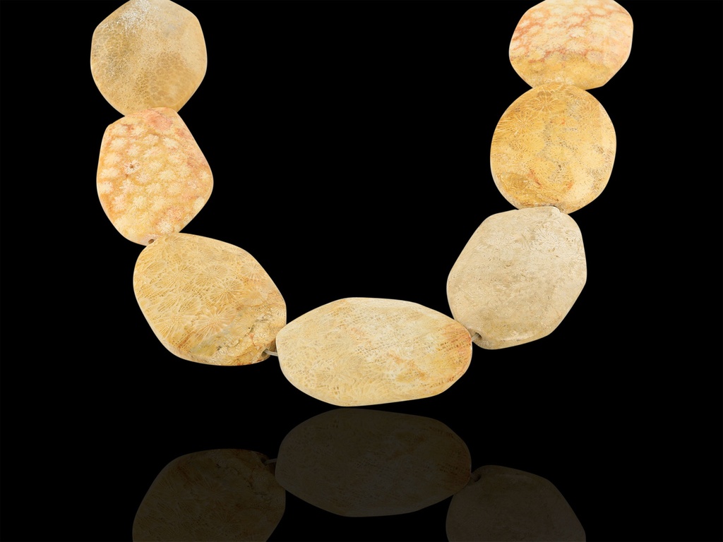 Fossil Coral 60x40mm Faceted Oval Strand