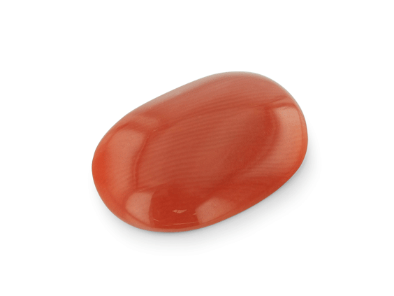 Red Coral 18.6x13.4mm Oval Cabochon  
