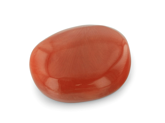 Red Coral 20x16.7mm Oval Cabochon  
