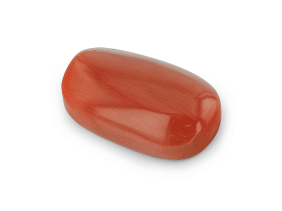 Red Coral 19.3x11.9mm Oval Cabochon  