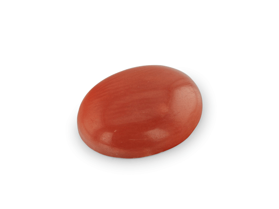 Red Coral 10.1x8.1mm Oval Cabochon  
