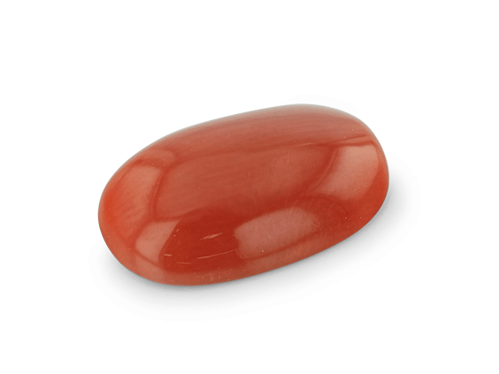 Red Coral 12.35x7.7mm Oval Cabochon  
