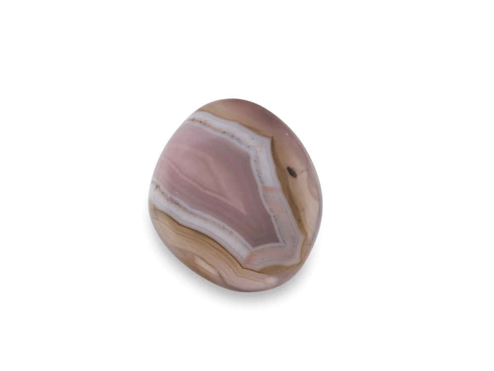 Fortification Agate 14.2x14mm Free Form