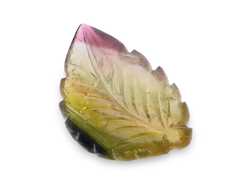 [UMZQ3020X1] Bi Colour Tourmaline 29x18mm Leaf Carved
