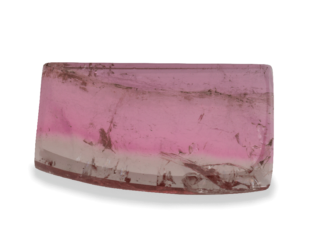 [UMXX2010X1] Watermelon Tourmaline 20.5x11.5mm Crystal Slice