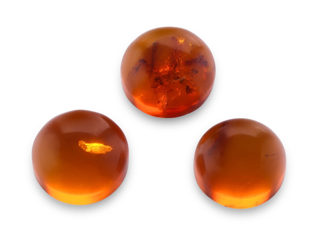 Amber 5.00mm Round Cabochon Pressed