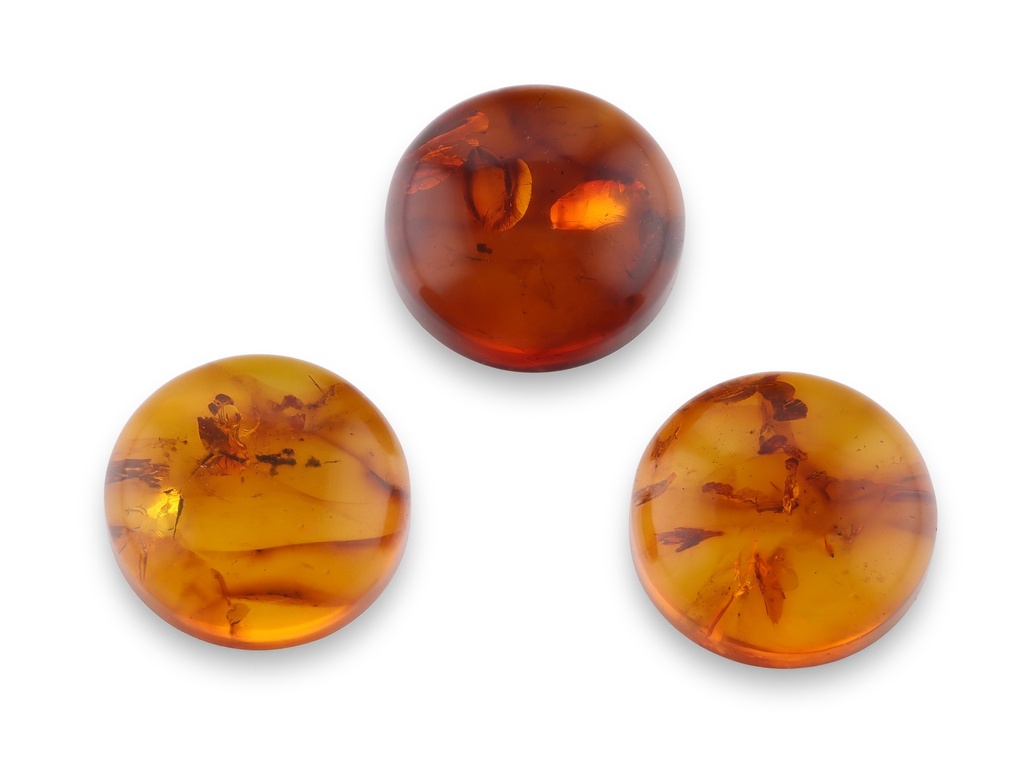 Amber 10mm Round Cabochon Pressed