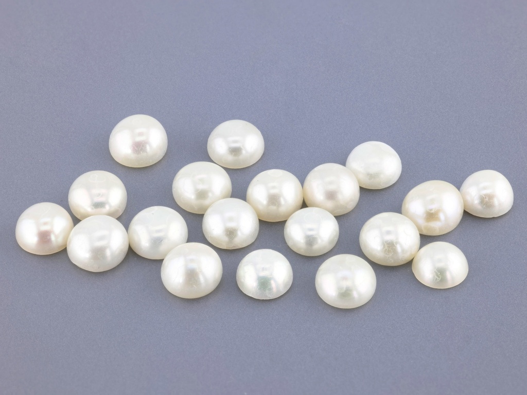Freshwater Half Seed Pearls 5.00-5.50mm White