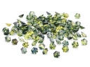 Parti Sapphire 4.50mm Hexagon