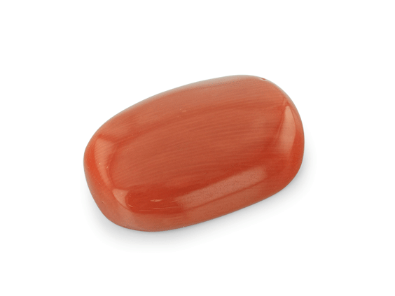 Red Coral 18.5x12.6mm Cushion Cabochon  