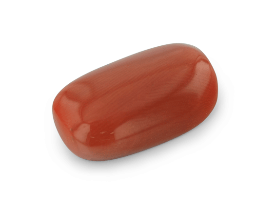 Red Coral 20x11.9mm Cushion Cabochon  