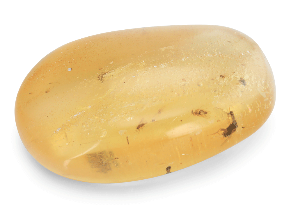 Colombian Copal Amber 45x30mm Free Form Oval