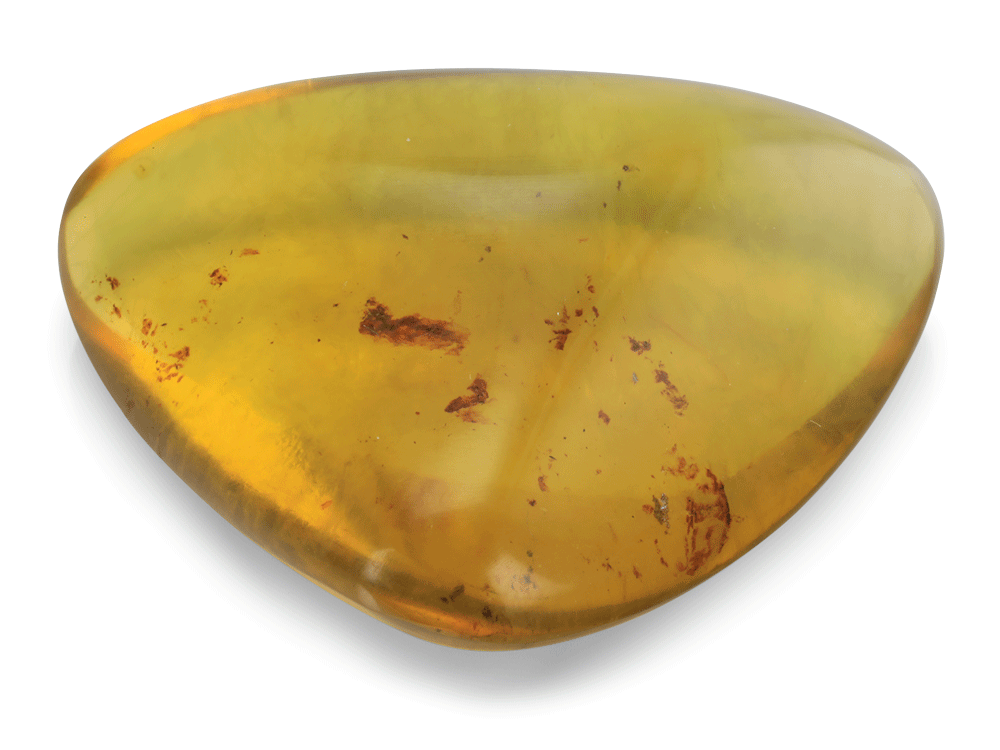 Dominican Amber 37x27mm Triangular no insects
