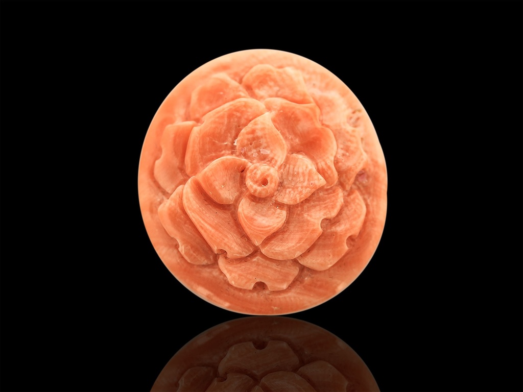 Coral Pink 23x21mm Carved Camelia Flower 