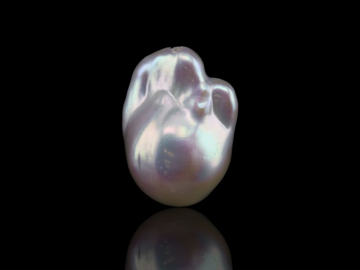 [JX3245] Freshwater Pearl Baroque 22x15mm Free Form Half Drilled White