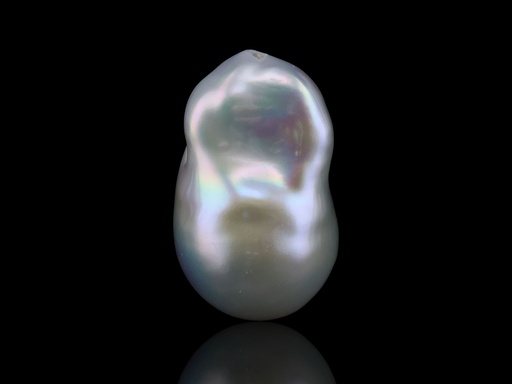 [JX3249] Freshwater Pearl Baroque 21x12mm Free Form Half Drilled White