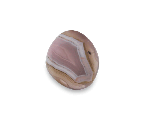 [ORNX10860] Fortification Agate 14.2x14mm Free Form