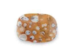 [ORNX3013] Brown Spotted Jasper 27x20mm Rectangular Cabochon 