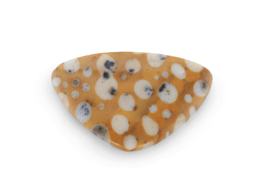 [ORNX3039] "Tigillites"Spotted Fawn Jasper 29x18mm Pear Cabochon